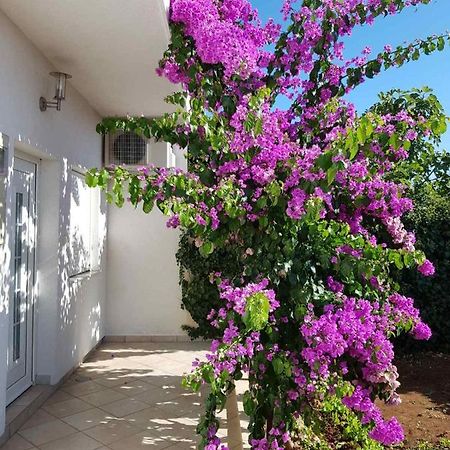 Bugenvilija Apartment Šibenik Exterior foto
